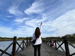 -溱湖国家湿地公园