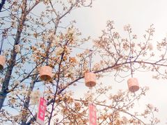 -麦当劳(顾村公园店)