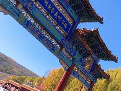 -塞罕坝国家级自然保护区