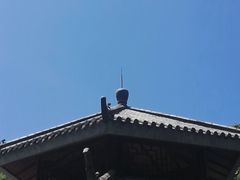 -亚龙湾热带天堂森林公园