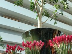 -RISE RESTAURANT(滨海湾金沙店)