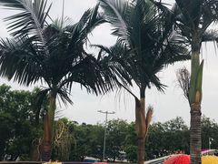 -盆满钵满·国家非遗传承(云台店)