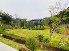 -金鸡山公园
