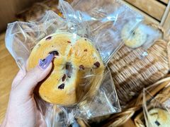 -yeast面包店