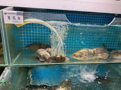 -胖姐渔村(中源大道店)