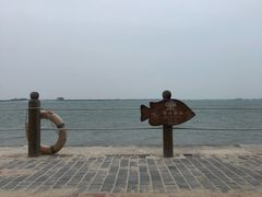 -北海金海湾红树林生态旅游区