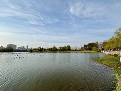 -眉山湿地公园(东坡区)