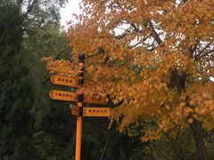 -哈尔滨文化公园