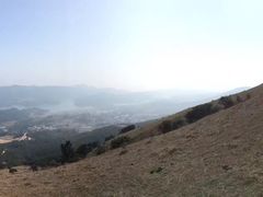 -大姆山草场