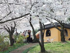 -苏州上方山国家森林公园