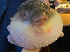 -永安鱼庄·镇江菜(丁卯店)