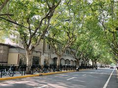 -上海昆虫博物馆