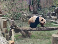 -杭州动物园