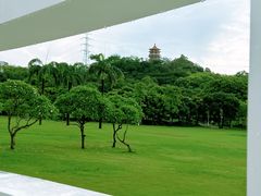 -紫马岭公园