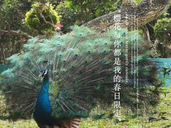 -海口火山口国家地质公园