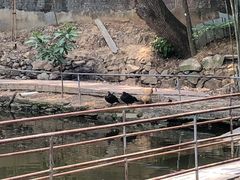-水库河鲜村