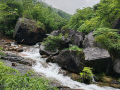 -鹿院坪生态旅游景区