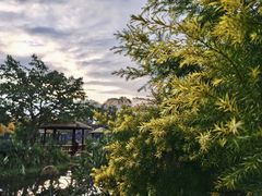 -成飞公园