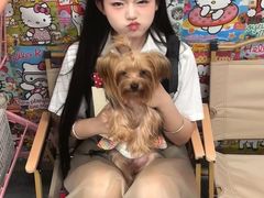 -汪说·狗咖(旺城大厦店)