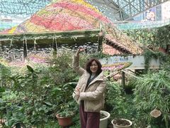 -花之城