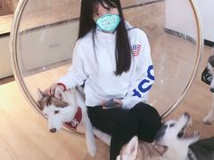 -Husky Go! 哈士奇体验馆·宠物咖啡厅狗咖