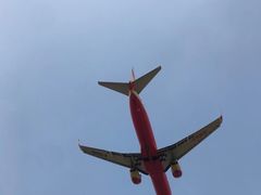 -空港花田景区