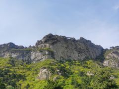 -大芦花风景区