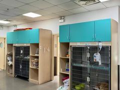 -安安宠医·臻爱宠物医院·宠保定点(营门口路分院)