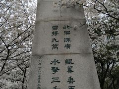-武汉大学-樱园