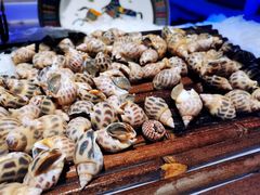 -加餐海鲜自助(宝龙一城店)