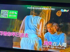 -金青果甄选KTV(劳动公园店)