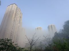 -弓虽昌焖烧鸡(大竹林店)