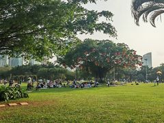 -万绿园