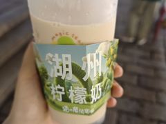 -猫的魔法密林(衣裳街店)