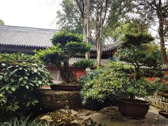 -成都武侯祠博物馆