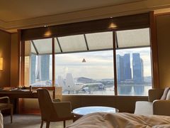-新加坡丽思卡尔顿美年酒店