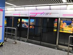 -大龙山(地铁站)