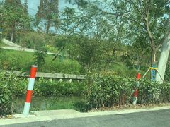 -东平国家森林公园