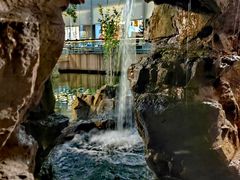 -上海虹桥宾馆味翠餐厅