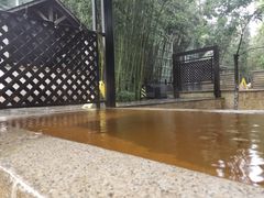 -春晖园度假酒店温泉