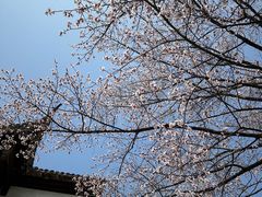 -江宁织造博物馆