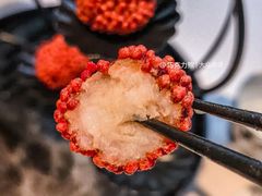 -茉里乐章(花园店)