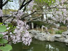 -常熟方塔园