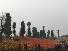 -秀丽东方