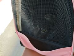 -芭比堂动物医院·CT·微创中心(新顺分院)