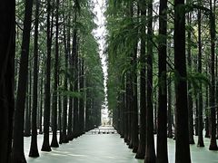 -渌洋湖湿地公园