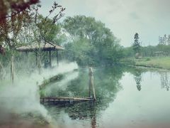 -溱湖国家湿地公园