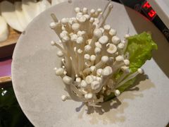 -九鼎轩脆毛肚火锅(三钢里店)
