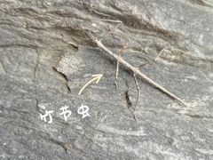 -西安金龙峡风景区