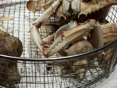 -海味当家·蒸锅海鲜(星海公园店)